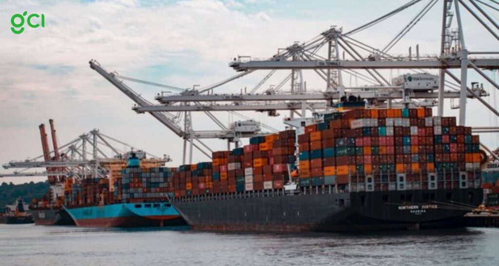 Mau Ekspor Tepung Tapioka: Peluang Besar dari Indonesia untuk Pasar Global