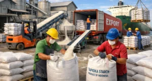 Ekspor Tapioka Berkualitas – Green Cassava Indonesia