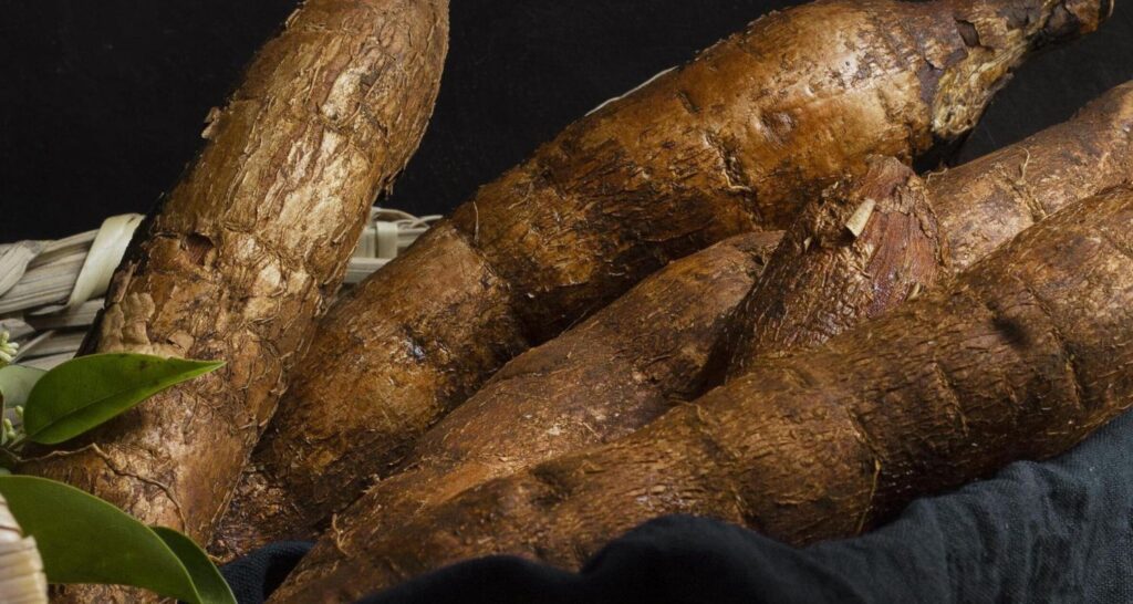 5 ciri singkong mentega yang asli dan berkualitas