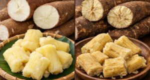 6 Cara Membedakan Singkong Empuk dan Singkong Tua