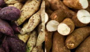7 Perbedaan Ubi dan Singkong yang Wajib Kamu Tahu Sebelum Memasak