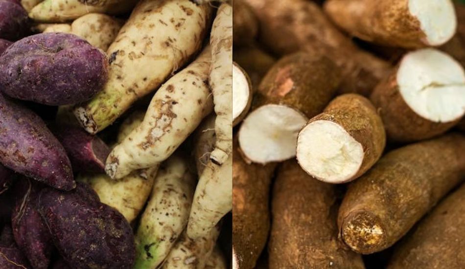 7 perbedaan ubi dan singkong yang wajib kamu tahu sebelum memasak