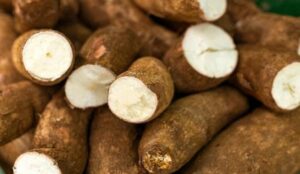 Kenapa Singkong Bisa Keras Saat Direbus? Ini Penyebab dan Cara Mengatasinya