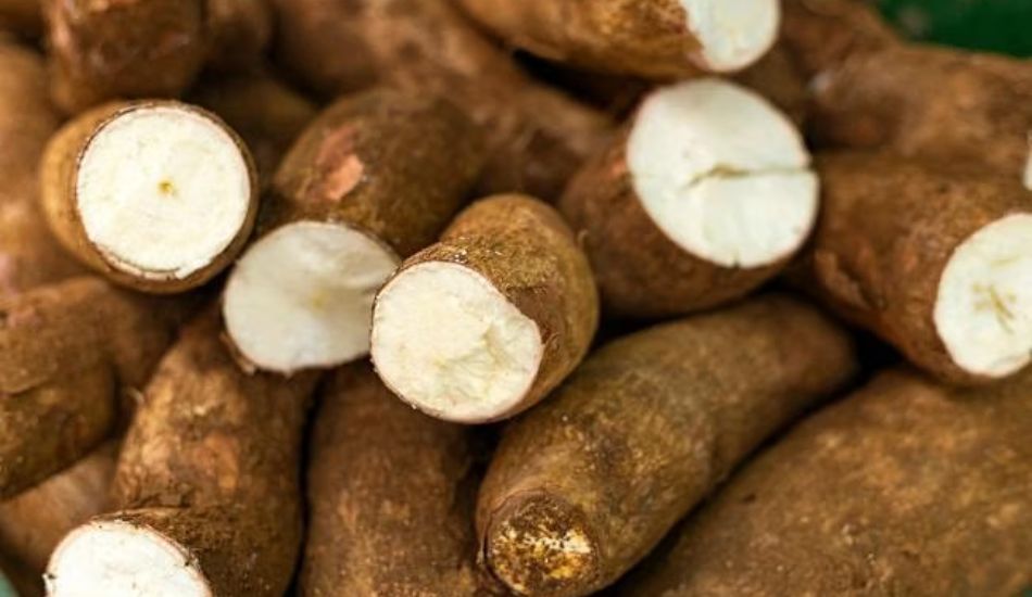 Kenapa Singkong Bisa Keras Saat Direbus? Ini Penyebab dan Cara Mengatasinya