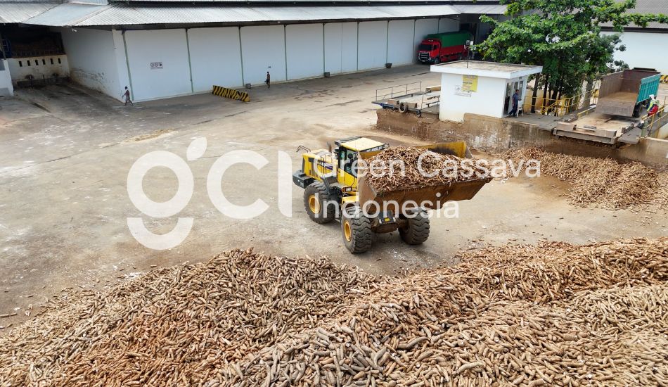 produsen & distributor tapioka jakarta