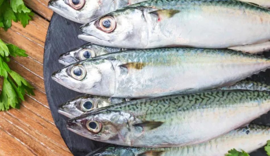 10 Olahan Ikan Laut Sehat dan Lezat untuk Menu Harian