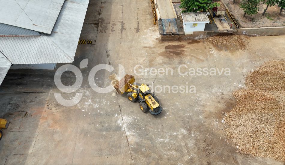 produsen tapioka surabaya green cassava indonesia