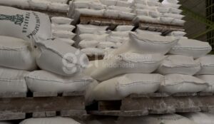 Kenapa Tapioka Lokal Semakin Diminati Industri Makanan Indonesia?